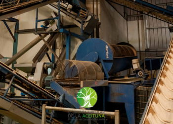 Grupos de Acción Local Leader de Castellón y Valencia impulsan la Economía Circular en la aceituna junto a la UPV, el IVIA, el CEU y la Federación de Cooperativas Agroalimentarias