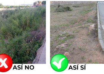 El Ayuntamiento solicita la limpieza de los solares urbanos y parcelas agrícolas