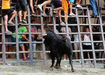 Las Peñas Taurinas y festivas de Segorbe recibirán una ayuda de 500 euros