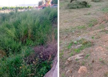 El Ayuntamiento solicita la limpieza de los solares urbanos y parcelas agrícolas