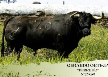 La Comisión de Toros presenta a “Derretío”