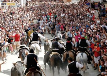 La Universidad Católica de Valencia organiza el dispositivo de veterinarios en la Entrada de Toros y Caballos de Segorbe