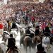 La Universidad Católica de Valencia organiza el dispositivo de veterinarios en la Entrada de Toros y Caballos de Segorbe