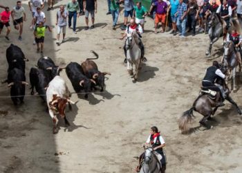 La segunda Entrada de Toros y Caballos de Segorbe, más rápida y sin incidentes destacables