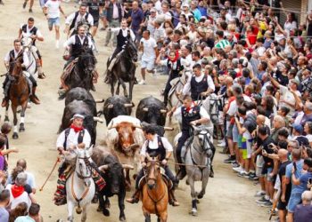 Segorbe celebra una primera Entrada de Toros y Caballos rápida y compacta