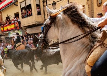 Una Entrada de Toros y Caballos de 10