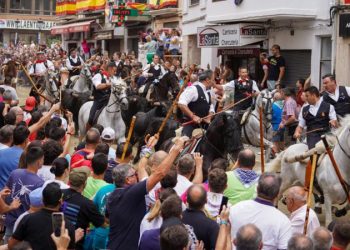 Éxito de público en la quinta Entrada de Toros y Caballos de Segorbe