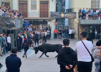 Éxito rotundo del fin de semana taurino en la plaza del Almudín