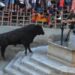 La épica tarde de Fernando Machancoses