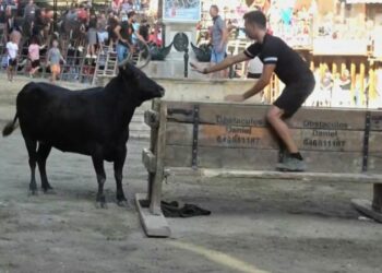 Margarito, Mariposa y la eternidad de Segorbe