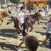 La primera Trashumancia Infantil conquista la calle Colón