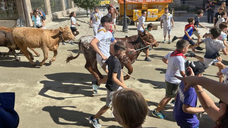 La primera Trashumancia Infantil conquista la calle Colón