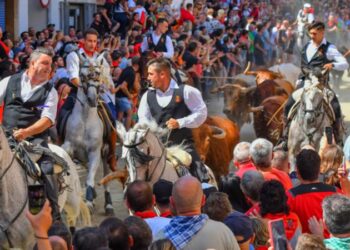 Multitudinaria Quinta Entrada de Toros y Caballos de Segorbe deslumbra a vecinos y visitantes