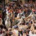 Cuarta Entrada de Toros y Caballos, un espectáculo de destreza, tradición y corazón
