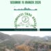¡Llega el primer Saltamontes Trail Rascaña a Segorbe!