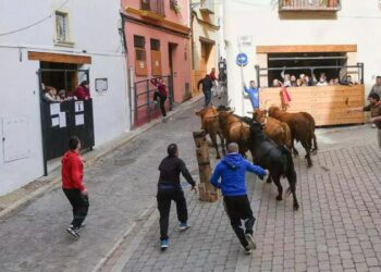 Segorbe celebra este fin de semana las fiestas de San Antonio Abad con paellas, toros y actividades para todos los públicos