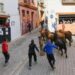 Segorbe celebra este fin de semana las fiestas de San Antonio Abad con paellas, toros y actividades para todos los públicos