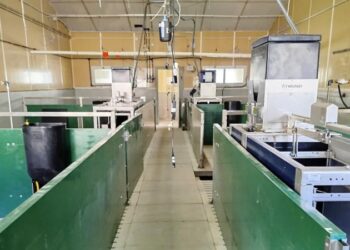 El IVIA digitaliza su granja porcina para avanzar hacia una producción más sostenible y respetuosa con el bienestar de los animales y rentable para el sector ganadero
