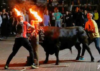 La Escalera Joven celebra sus cinco años regalando un día extra de toros a Segorbe en mayo
