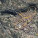 La 41ª Vuelta a Pie Ciudad de Segorbe ajusta su recorrido por las obras en la zona del Ángel y Sopeña