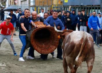 Gran participación en los festejos taurinos de mayo en Segorbe pese a la lluvia
