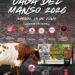 La Comisión de Toros de Segorbe prepara una nueva edición de “La Cagá del Manso” con premios y ambiente festivo