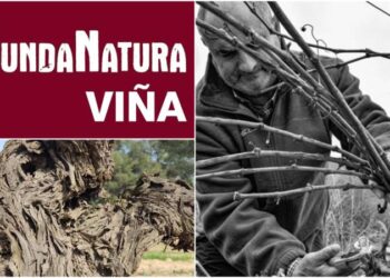 FundaNatura acerca la cultura de la vid de la Sierra de Espadán a través de la fotografía