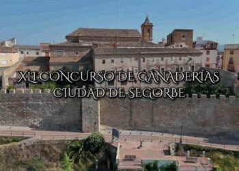 Segorbe y su concurso: donde las vacas escriben historias