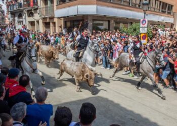 Marta Barrachina ensalza la singularidad y la tradición de la Entrada de Toros y Caballos de Segorbe
