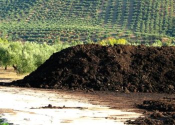 El alperujo como eje de las jornadas formativas “Economía circular y alternativas para el alperujo”