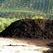 El alperujo como eje de las jornadas formativas “Economía circular y alternativas para el alperujo”