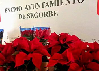 El Ayuntamiento de Segorbe obsequia a los comercios con una alfombra roja y una planta de Navidad
