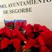 El Ayuntamiento de Segorbe obsequia a los comercios con una alfombra roja y una planta de Navidad