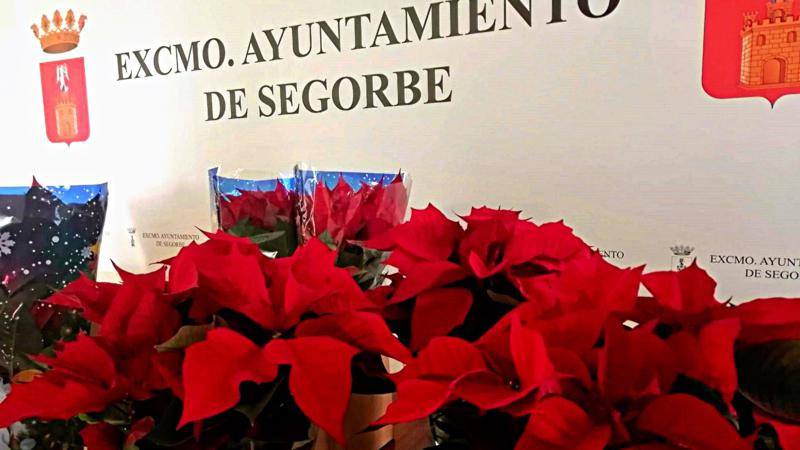 El Ayuntamiento de Segorbe obsequia a los comercios con una alfombra roja y una planta de Navidad