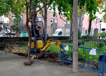 El Ayuntamiento de Segorbe renueva los jardines de la Glorieta