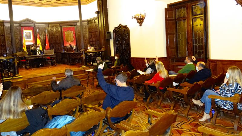 El pleno aprueba por unanimidad el I Plan de Juventud de Segorbe
