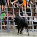 Las Peñas Taurinas y festivas de Segorbe recibirán una ayuda de 500 euros