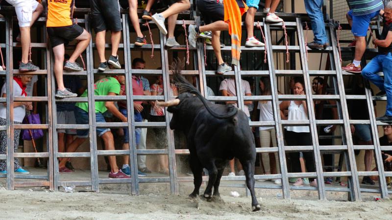 Las Peñas Taurinas y festivas de Segorbe recibirán una ayuda de 500 euros