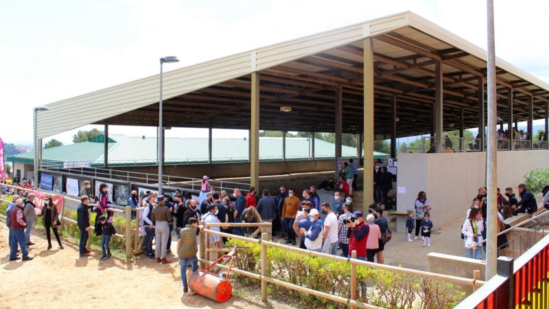 El Ayuntamiento sacará a concurso el Centro Hípico de Segorbe