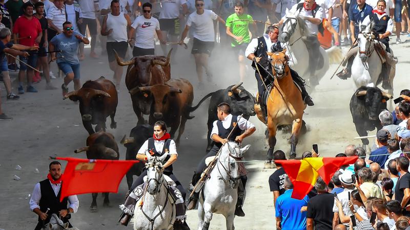 Una caída sin consecuencias en la tercera Entrada de Toros y Caballos de Segorbe