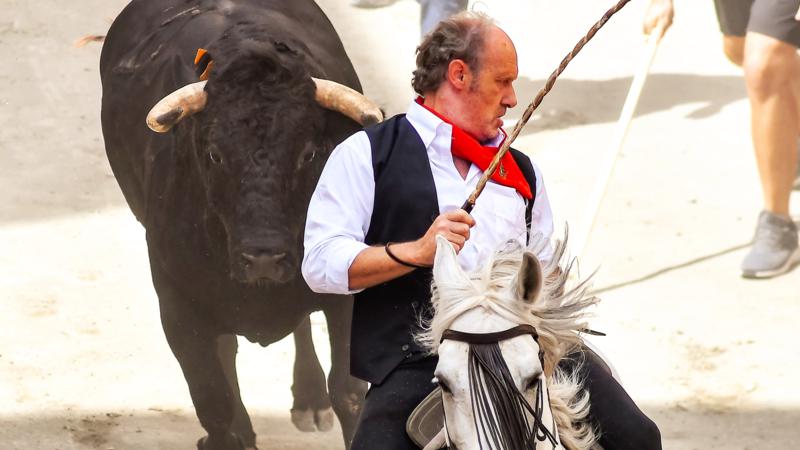 Actuación magistral de los caballistas en la quinta Entrada de Toros y Caballos de Segorbe