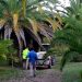 El Palmeral de la Esperanza vuelve a tratarse con nematodos