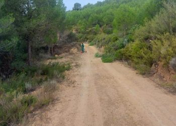 Segorbe invierte en prevención de incendios