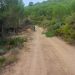 Segorbe invierte en prevención de incendios
