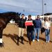 Alba Gimeno ganadora de las Carreras de Cintas a caballo de San Antón