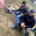 La colombicultura ya tiene una ordenanza municipal que regula este deporte