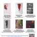 Abierto el plazo para el LXXIX Concurso y Exposición Internacional de Arte Ciudad de Segorbe