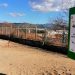El Ayuntamiento contrata el mantenimiento y desinfección anual de los tres parques caninos