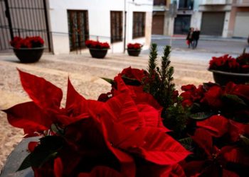 Segorbe participa en el premio Stars for Europe