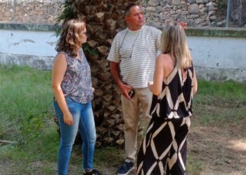 El Ayuntamiento inicia la poda y mantenimiento de especies arbóreas en Segorbe